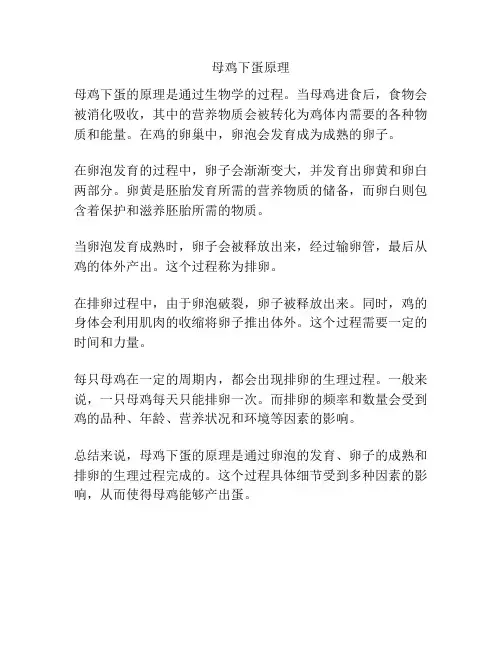 母鸡下蛋原理