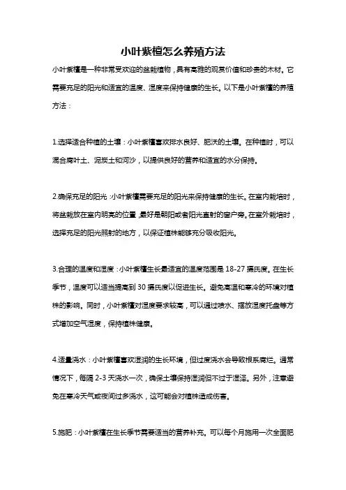 小叶紫檀怎么养殖方法