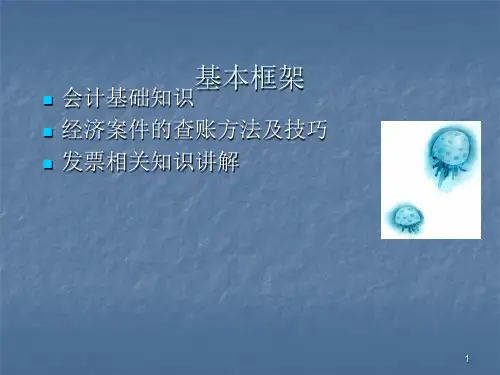 纪检查账技术ppt课件