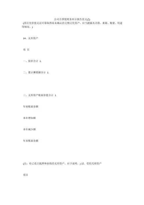 公司月季度财务审计报告范文2)