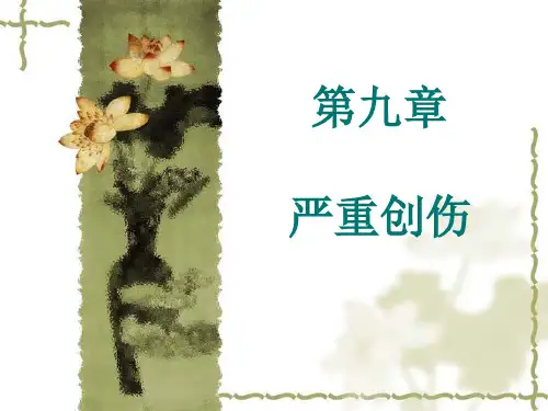 2015-第九章严重创伤【131页】