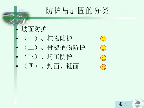 公路工程边坡防护与加固.ppt