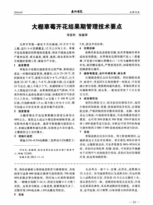 大棚草莓开花结果期管理技术要点