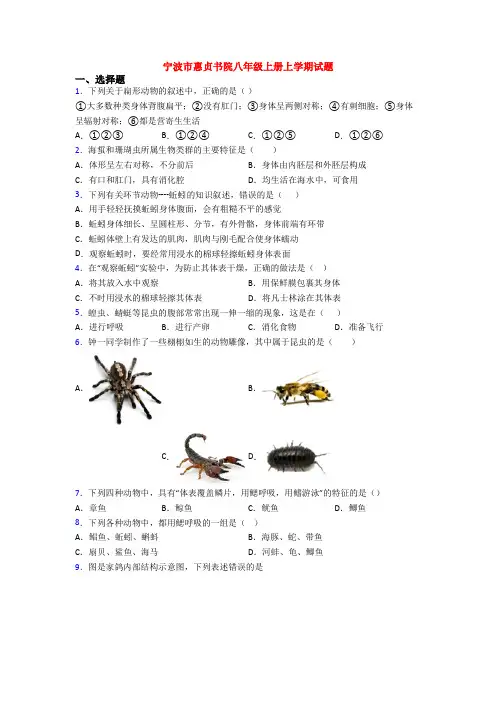 宁波市惠贞书院八年级上册上学期试题