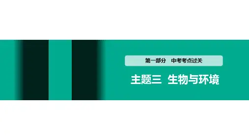 初中生物中考复习 主题三 生物与环境