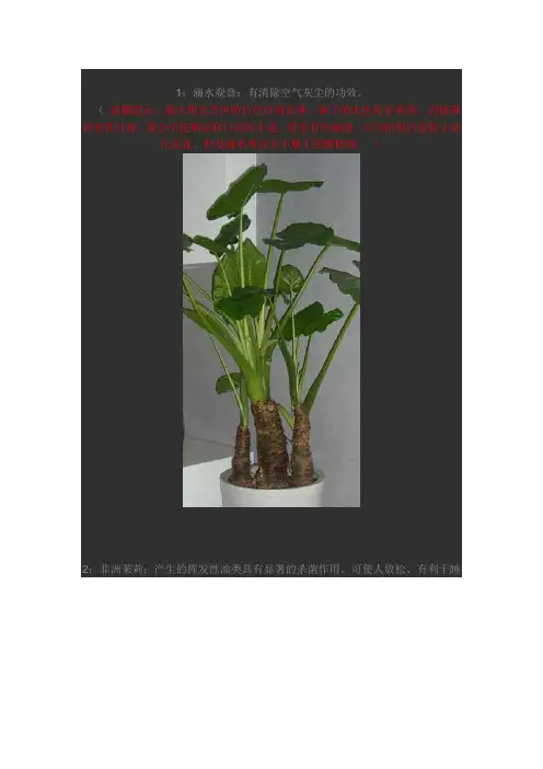 常见室内植物的功效(甲醛,苯乙烯,一氧化碳,二氧化碳等致癌物质)