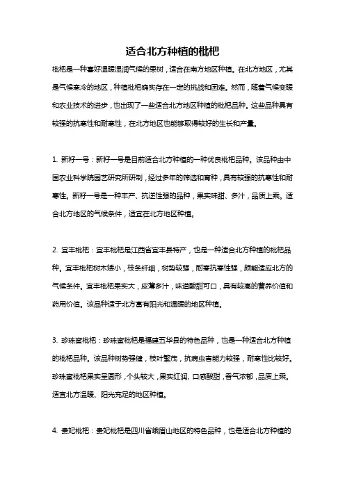 适合北方种植的枇杷