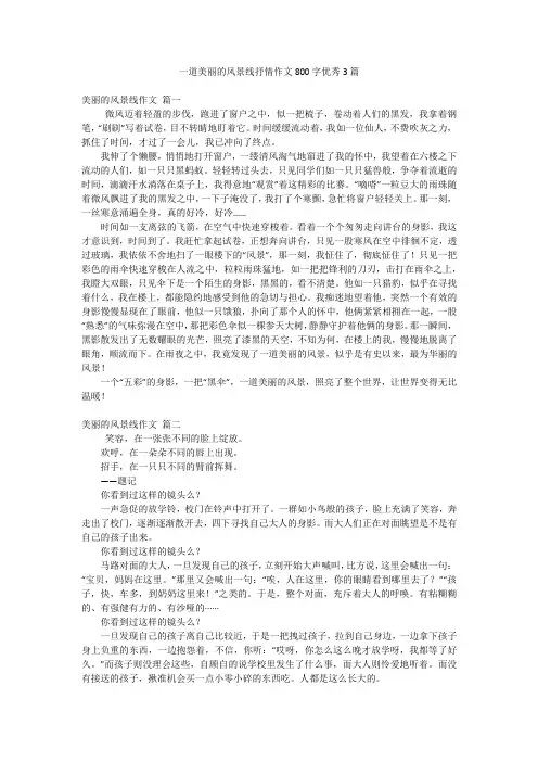 一道美丽的风景线抒情作文800字优秀3篇