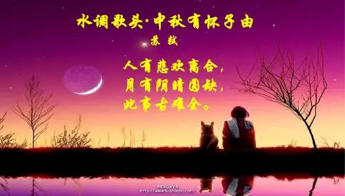 矛盾普遍性与特殊性
