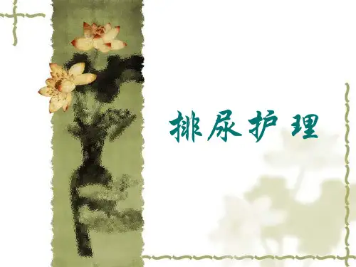 排尿护理  ppt课件.ppt