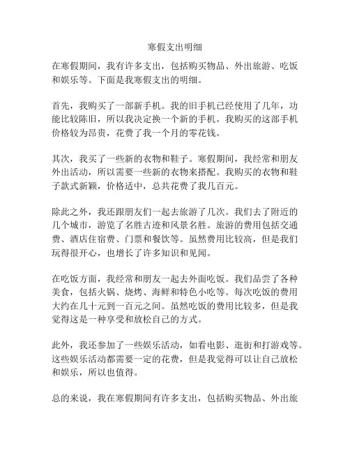 寒假支出明细