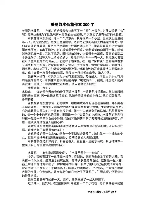 美丽的水仙花作文300字_作文300字