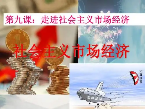 社会主义市场经济2015(公开课 市级优质课)