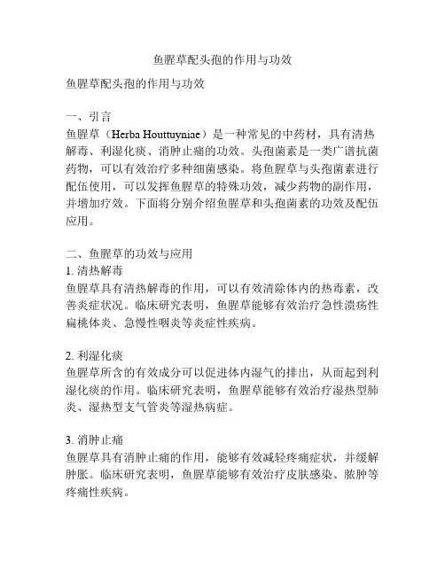 鱼腥草配头孢的作用与功效