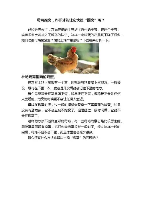 母鸡抱窝，咋样才能让它快速“醒窝”呢？