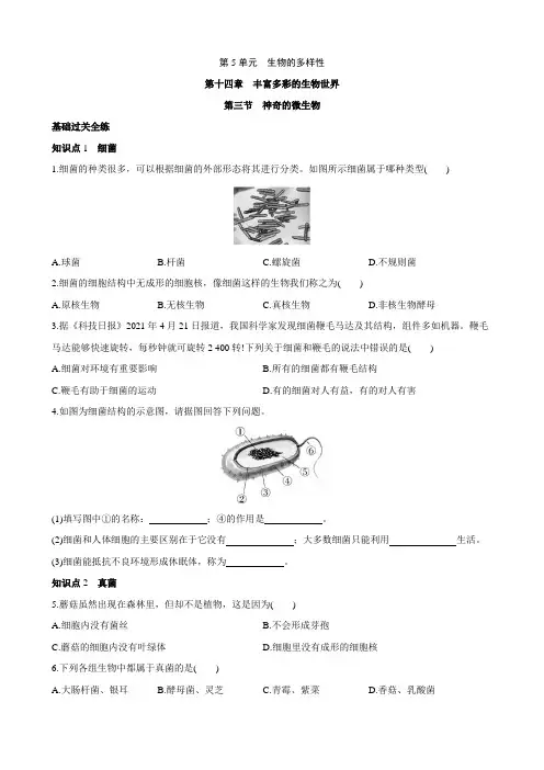 【苏教版】同步练习 5.14.3 神奇的微生物 同步练习