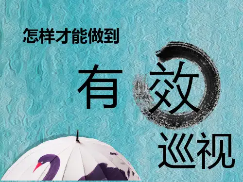 怎样才能做到有效巡视 ppt课件