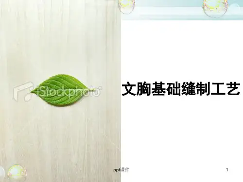 文胸基础缝制工艺  ppt课件