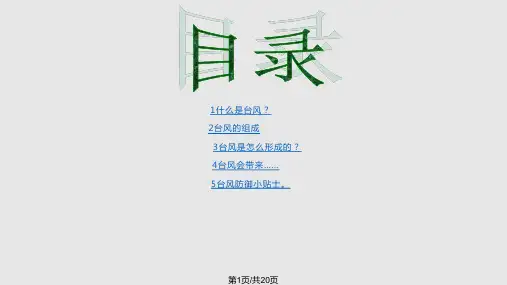 台风简介PPT课件