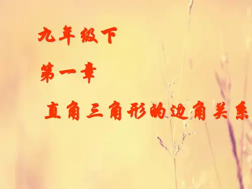 从梯子的倾斜程度谈起PPT教学课件