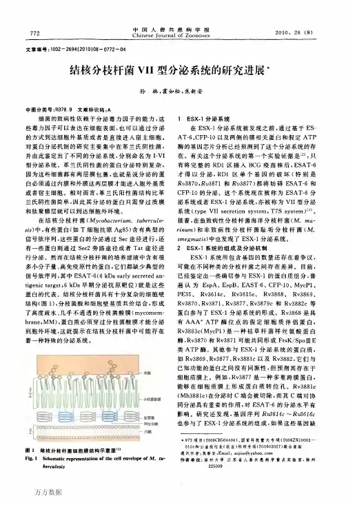 结核分枝杆菌VII型分泌系统的研究进展
