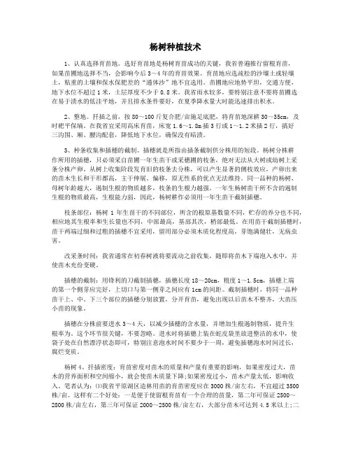 杨树种植技术