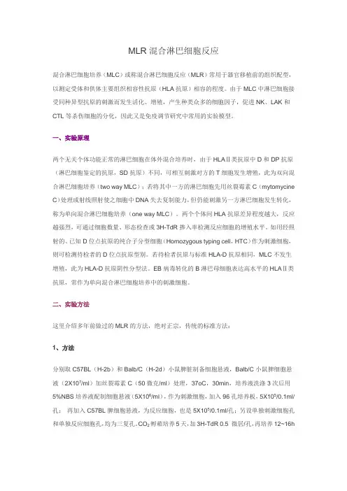 MLR混合淋巴细胞反应