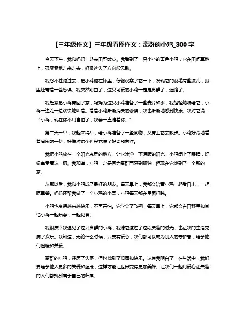 【三年级作文】三年级看图作文：离群的小鸡_300字
