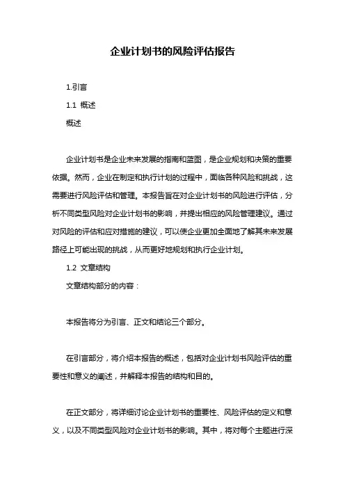 企业计划书的风险评估报告