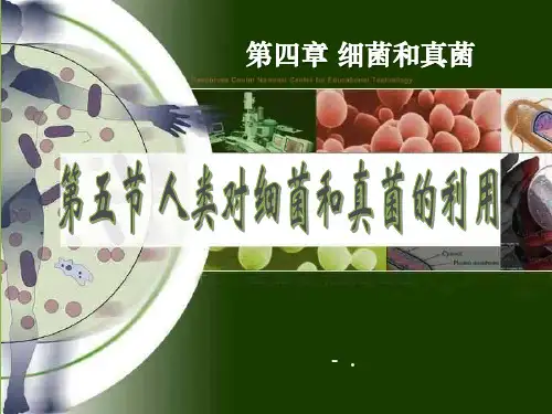 《人类对细菌和真菌的利用》细菌和真菌PPT课件