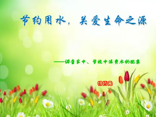 生活中浪费水的现象17页