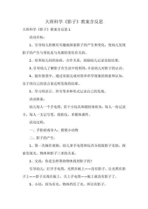 大班科学《影子》教案含反思