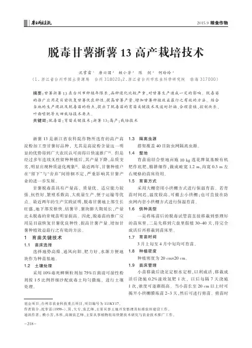 脱毒甘薯浙薯13高产栽培技术
