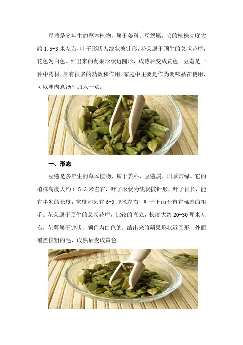 豆蔻是什么,有什么功效和吃法