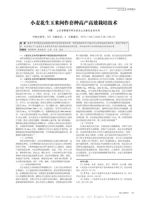 小麦花生玉米间作套种高产高效栽培技术