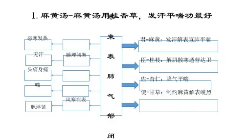 中医方剂思维导图(精品教学)