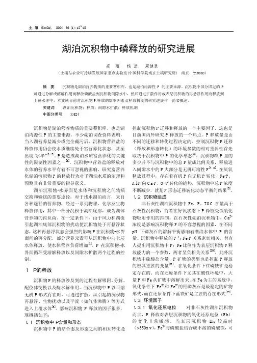 湖泊沉积物中磷释放的研究进展