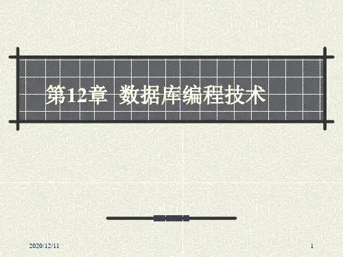 第12章数据库编程技术PPT教学课件