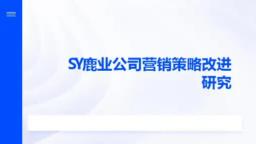 SY鹿业公司营销策略改进研究