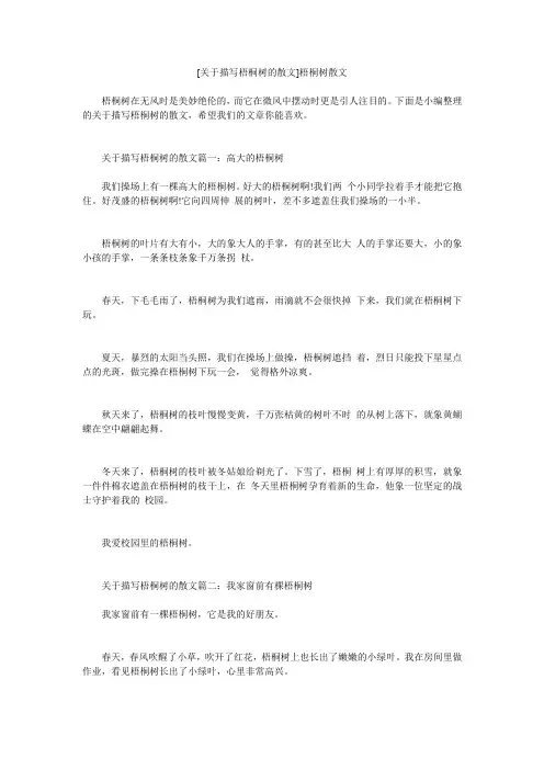 小度写范文[关于描写梧桐树的散文]梧桐树散文模板
