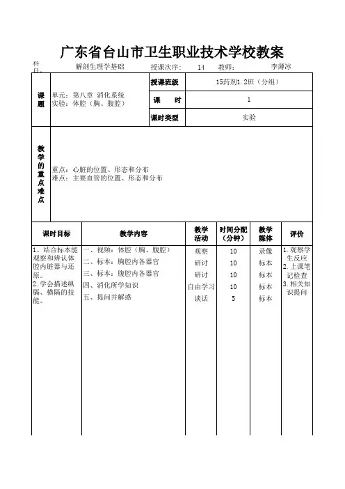 教案(解剖生理学基础)