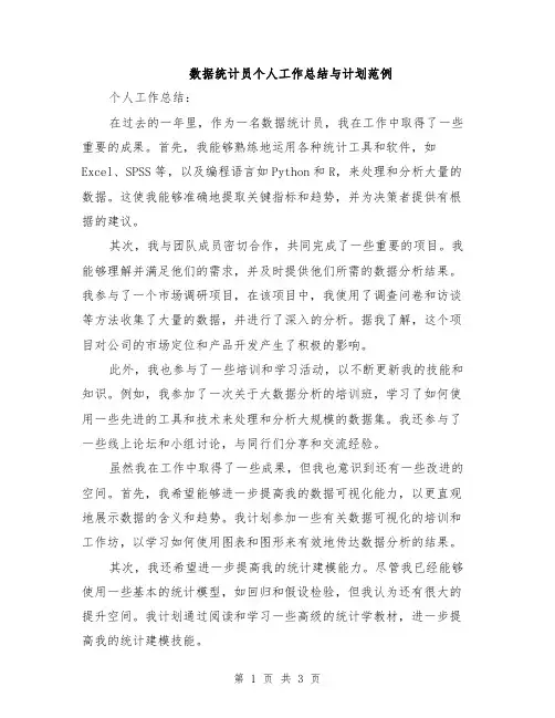 数据统计员个人工作总结与计划范例