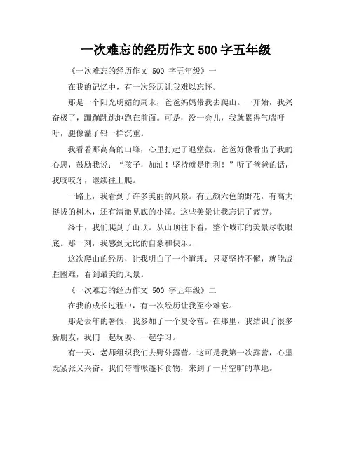 一次难忘的经历作文500字五年级