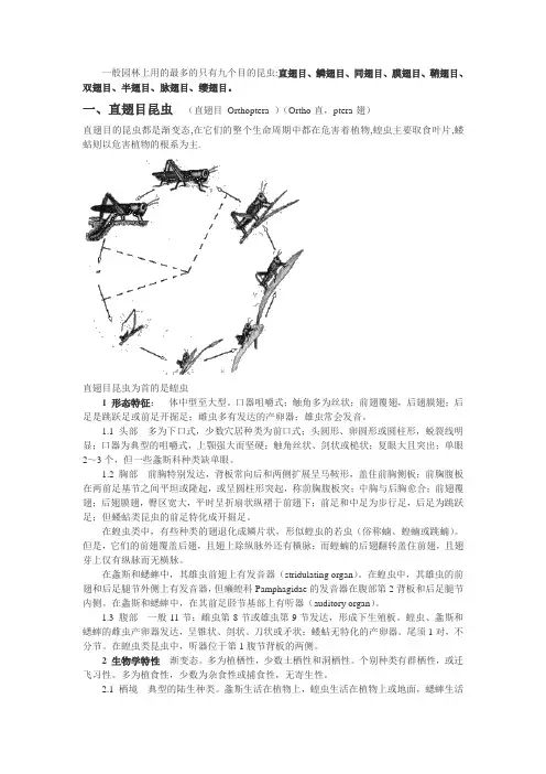园林中常见的害虫及防治