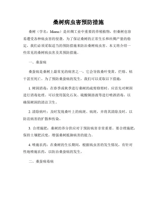 桑树病虫害预防措施