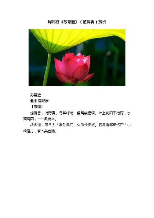 周邦彦《苏幕遮》（燎沉香）赏析