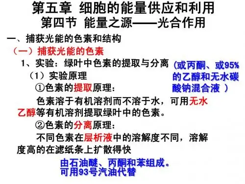 第五章第四节