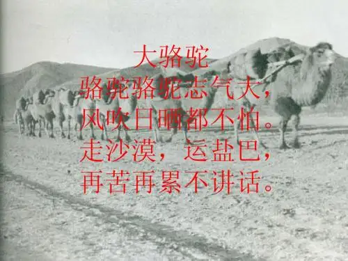 一年级下学期晨诵复习