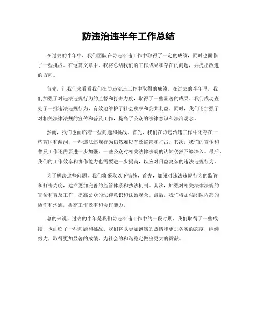 防违治违半年工作总结