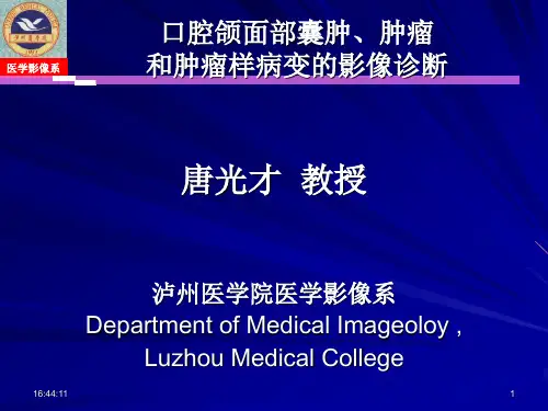 下颌骨课件